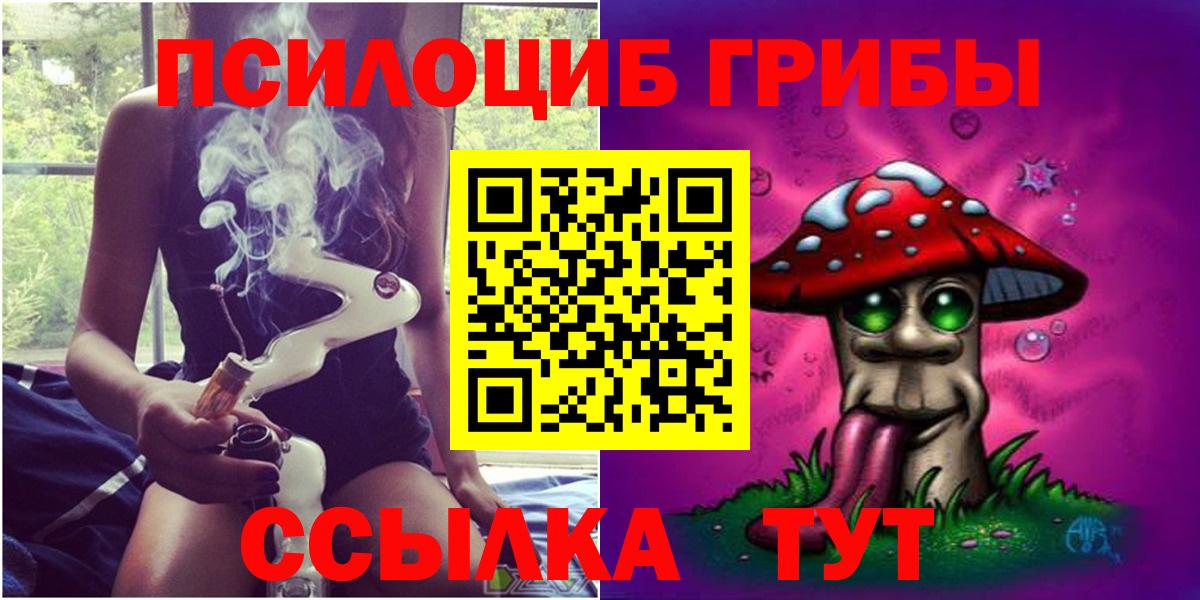 Галлюциногенные грибы Psilocybine cubensis Когалым